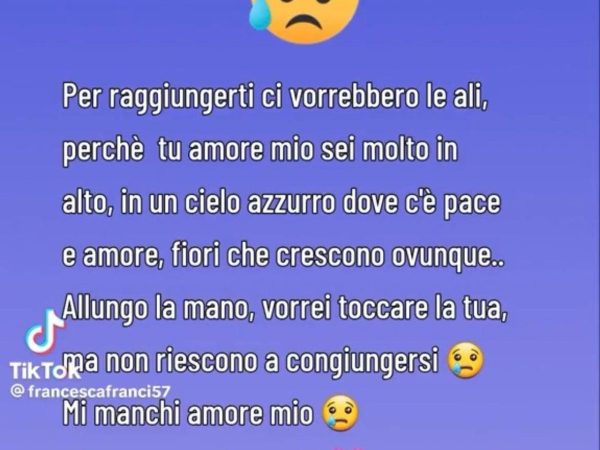 Marta Fascina and the dedication to Berlusconi on Whatsapp: “My love, it would take wings to reach you”