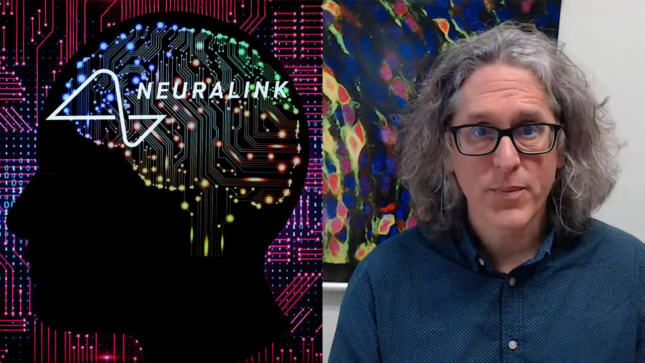 Neuralink, how much does it cost?  Secure?  The expert’s answer